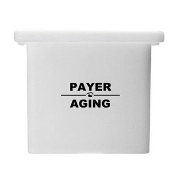 Preview: PAYER Aging 30L System inklusive Druckgeber