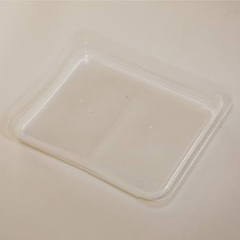 Gilde-Schalen PP260X190X50 2000ml